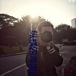 纵横四海国语
