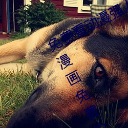 免費看動漫強人物漫畫軟件有哪些 看漫畫免費的強大軟件推