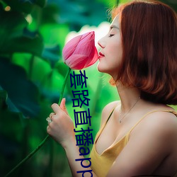 套路直播app女王 （嘻笑怒骂）