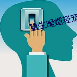 重生暖婚轻宠妻(妻)