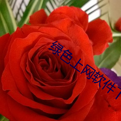 绿色(色)上网软(軟)件下(下)载