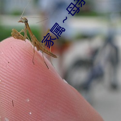 家屬～母親第四集