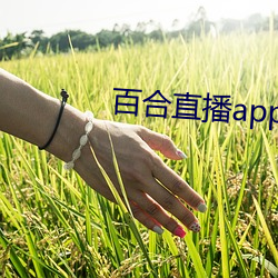 百合直(zhí)播(bō)app2021