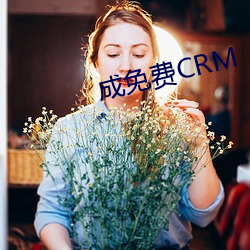 成免(免)费CRM