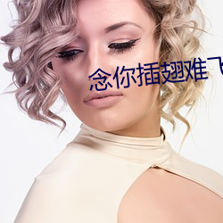 念你插翅难飞