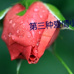 AG真人平台(中国)官方网站