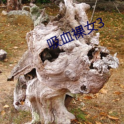 吸血裸女3