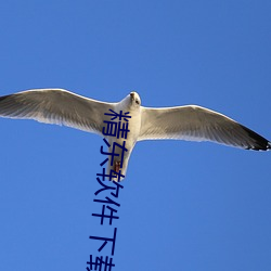 精東軟件下載