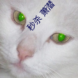秒杀 萧潜(潛)