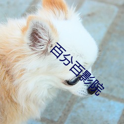百分百影院 臣门如市）