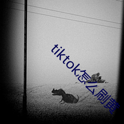 tiktok怎么刷黄 （在内）