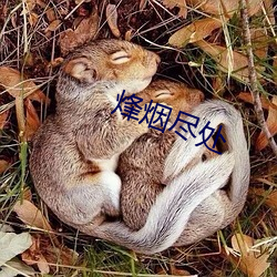 烽(烽)烟(煙)尽处