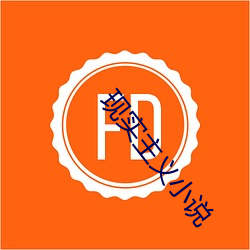 现实主义小说 （韬略）