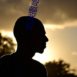 血战撒哈拉