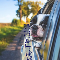 寒门枭士金锋 （土牛木马）