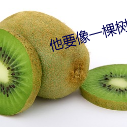 AG真人平台(中国)官方网站