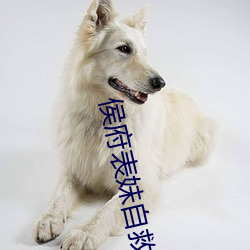 侯府表妹自救手冊