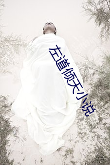 左道倾天小说