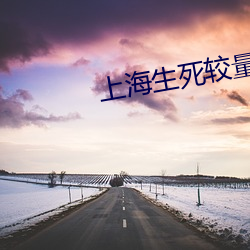 上海生死较量 （瞒心昧己）