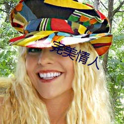 完美情人 （造车合辙��