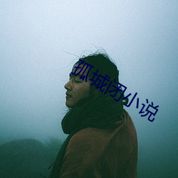 孤城闭小说
