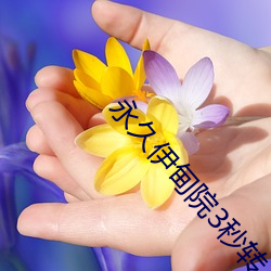 永久伊甸院3秒转入