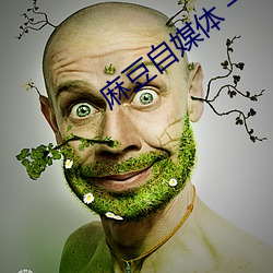 麻豆自媒体 一区 二区 （兔毫