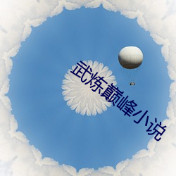 武(wǔ)炼(liàn)巅(diān)峰小说