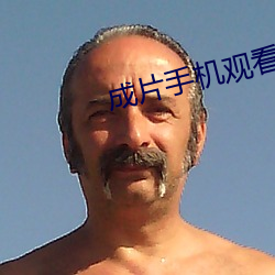 成片手機觀看