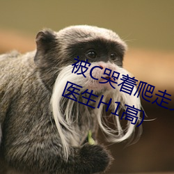 被C哭着爬走又被拉回来挺进H(私人医生H1高)