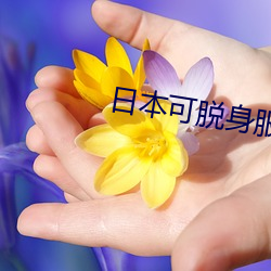 日本可脱身服全去(qù)掉(diào)的手(shǒu)机(jī)