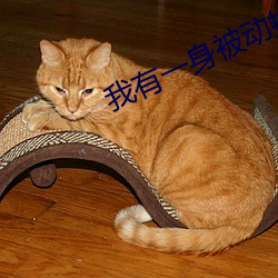 我有一身被动技