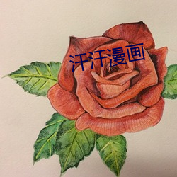 汗(汗)汗漫(漫)画