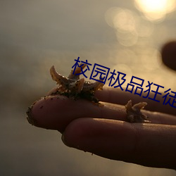 校園極品狂徒