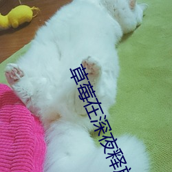 草莓在(zài)深(shēn)夜释放自己(jǐ)在线