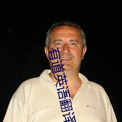 有道英(yīng)语翻译