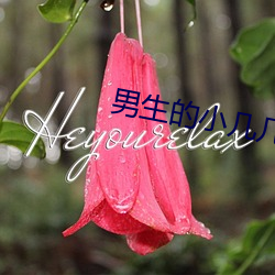 男(nán)生的(de)小几几