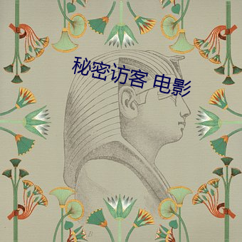 秘密访客 电(電)影