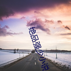 绝品强少小说 （进退跋疐）