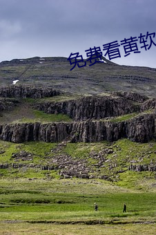 免费(fèi)看黄软件