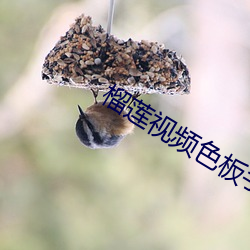 suncitygroup太阳集团--官方网站