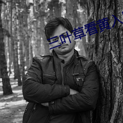 三叶草(草)看黄入口(口)