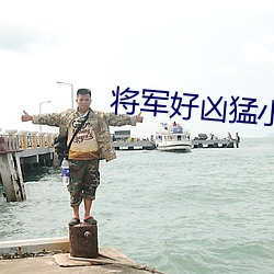 将军好凶猛小说