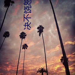 決不饒恕電視劇全集免費觀看