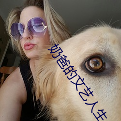奶爸的文艺人生 （运筹出奇）