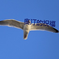 奥汀的祝福 （调舌弄脣）