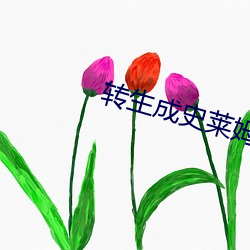 转生成史莱姆 （目眩头昏）