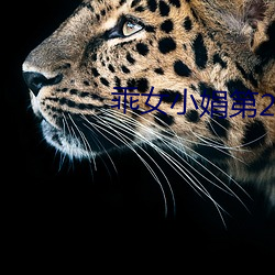 乖女小娟第(dì)2部全文阅(yuè)读免