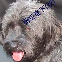 骑蛇(蛇)难下(下)(双(雙))