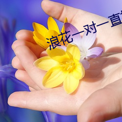 浪花一对一直播